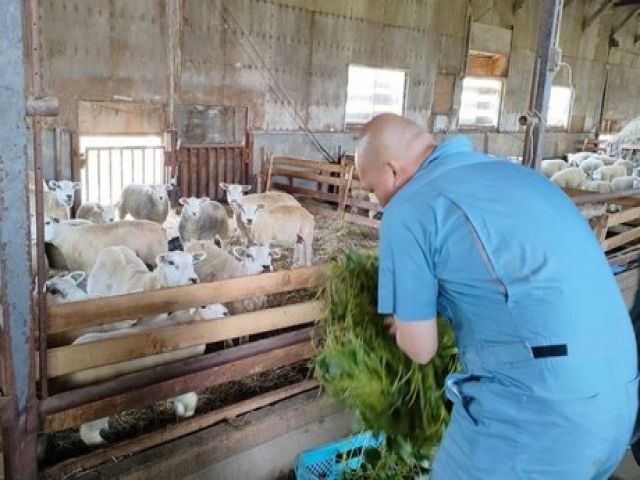 ルスツリゾートの動物飼育・管理のお仕事です♪