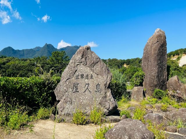 ようこそ屋久島へ！自然豊かな素敵な離島です！