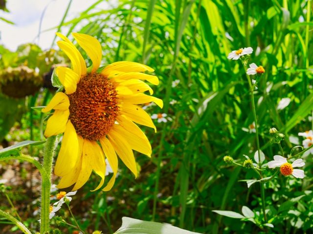 沖縄北部・宜野座村でのリゾートバイト！