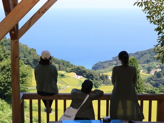 丘に上ってみると、海と田園風景が景色を彩ります♪離島ならではの景色を楽しみませんか？