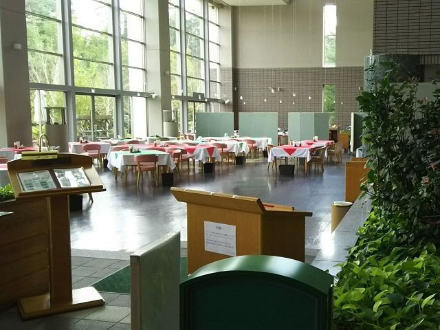 大きな窓が特徴の日差したっぷりのレストランが職場になります
