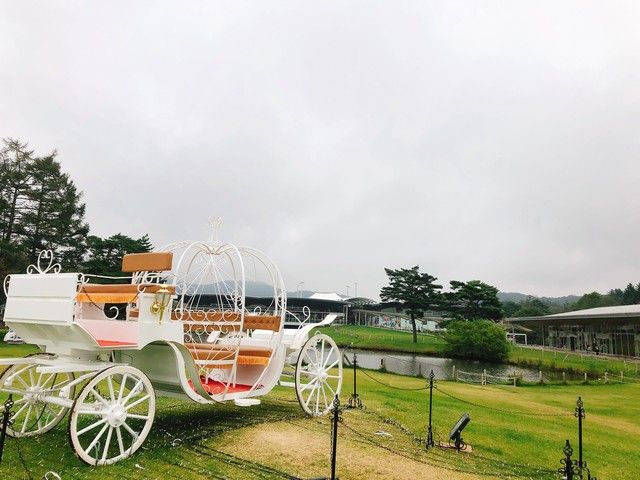 自然とワンちゃんに癒される♪北軽井沢の住み込み勤務