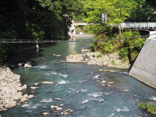 中心街から離れると自然もたくさん＾＾