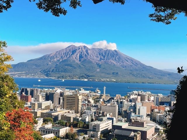 鹿児島のシンボル・桜島を眺める職場。