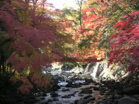 小京都の風情に癒される♪老舗旅館の住み込み勤務