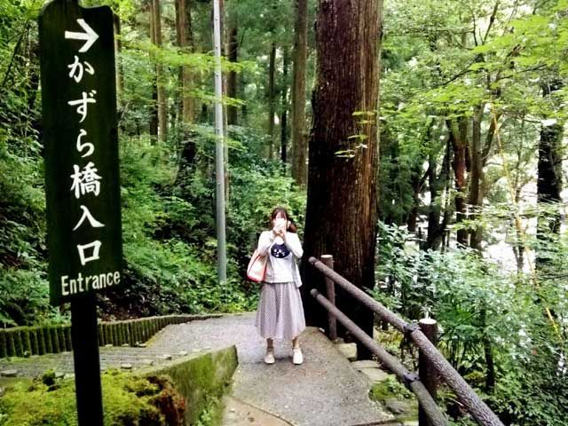 観光名所かずら橋☆行くところはたくさんありますよ～！！