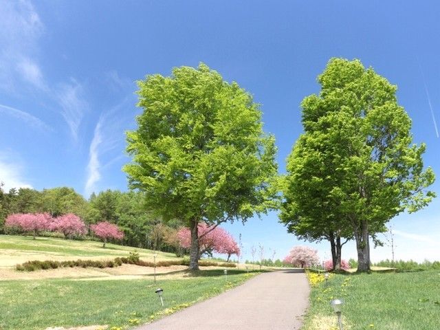 思い出に残る景色を見つけに来ませんか？