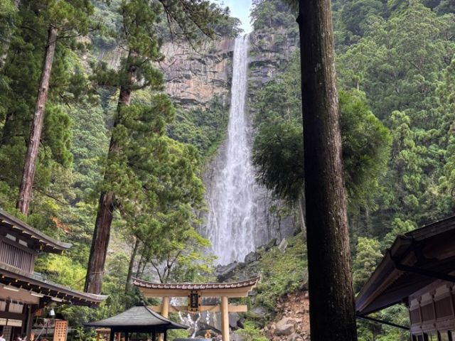 ［那智の滝］落差133m、幅13mは、一段の滝としては日本一の落差！