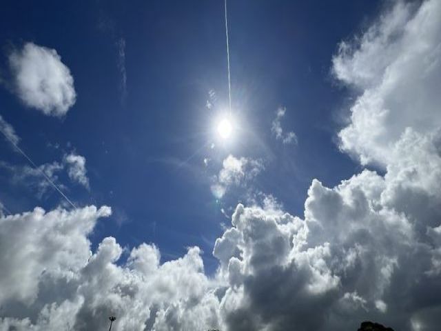 夏のお仕事です！