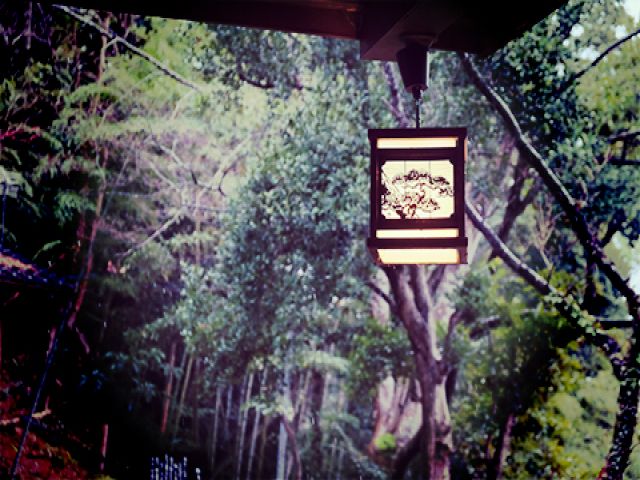 生活便利な温泉地です。