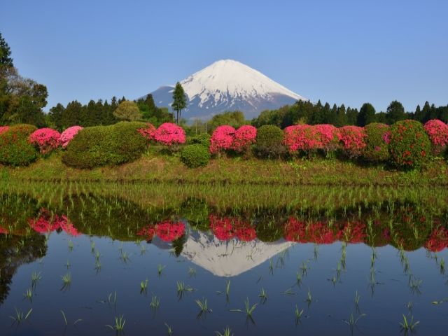富士山が見れる珍しい寮！！