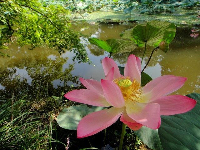 大自然の中でのリゾバを希望されている方へおすすめです♪