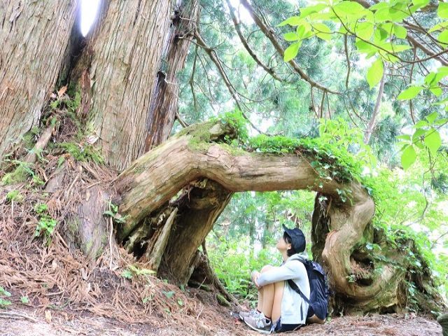 人気の佐渡島でのお仕事