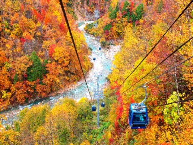 ＼紅葉シーズン短期の求人！／
色づきとともにお客様も増えてくる忙しい仕事です