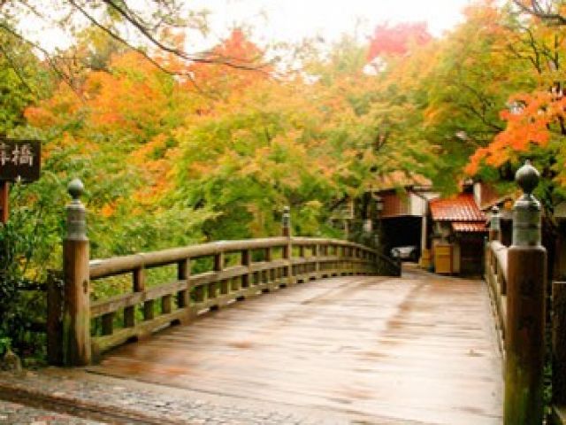 ９月～11月にかけては紅葉が見ごろ！
北陸観光したい方にもおすすめです