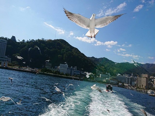 熱海から30分で行けるリゾートアイランド！