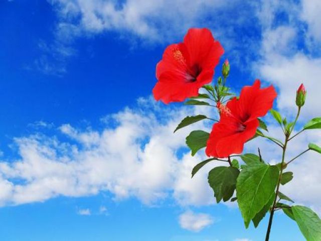 夏を楽しみましょう！