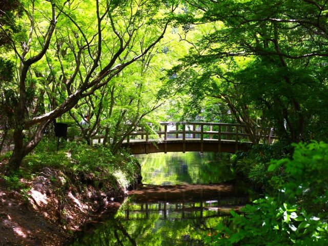 湯布院で調理補助募集は珍しいです。
今だけの募集！気になる方はお早めに！