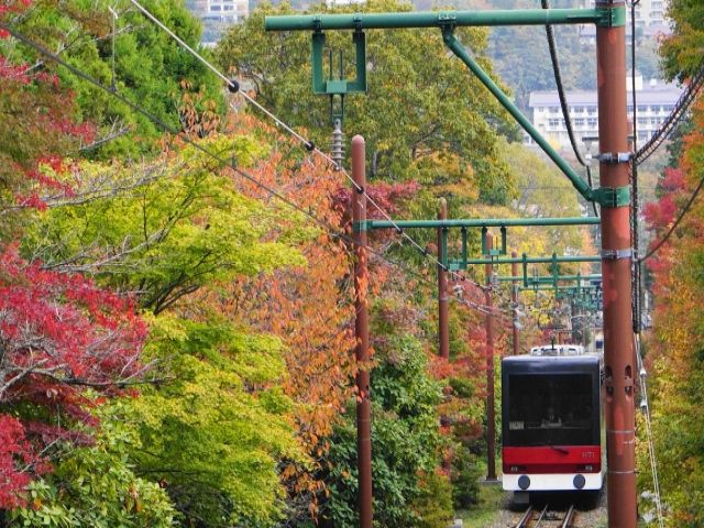 箱根でのお仕事