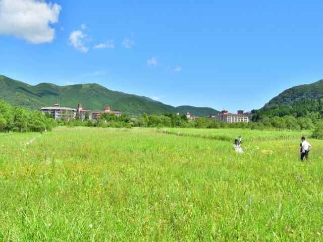 1,620円の高時給求人！仙石原でストレスフリーな職場環境！