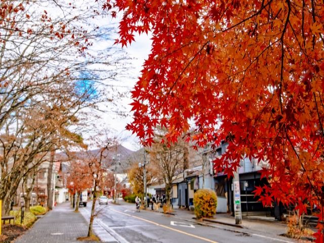 紅葉も色づく秋から冬にかけてのお仕事です♪