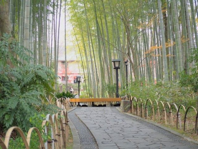 修善寺いいとこですよ～！