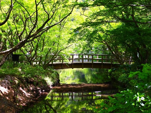 由布岳の自然に抱かれ、ゆったりと佇む温泉旅館です。