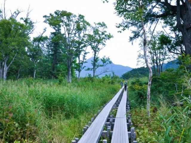 自然に囲まれた尾瀬の玄関口の温泉旅館です！