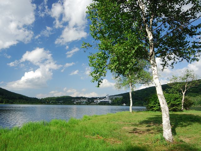 ～夏は避暑地、秋は紅葉、冬は雪景色と四季が魅力なエリアになっています～