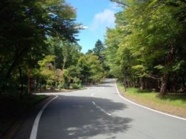 ★自然が多いですがそこがいい！