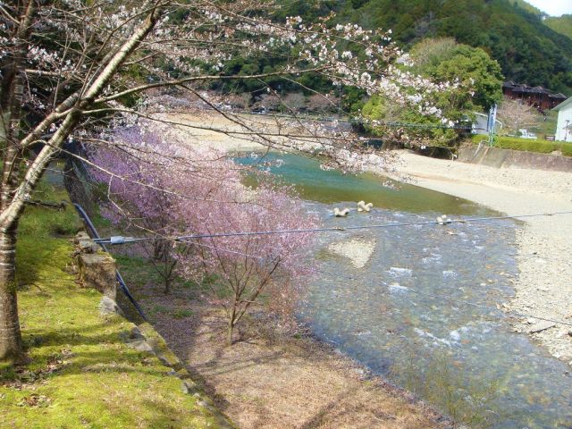 大自然リゾバ♪