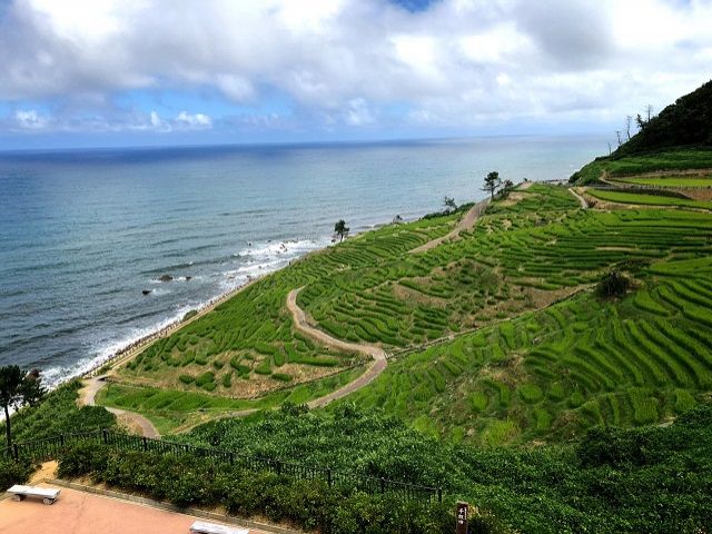 千枚田は山間部特有の景色です。夜になるとライトアップされるときもあります。