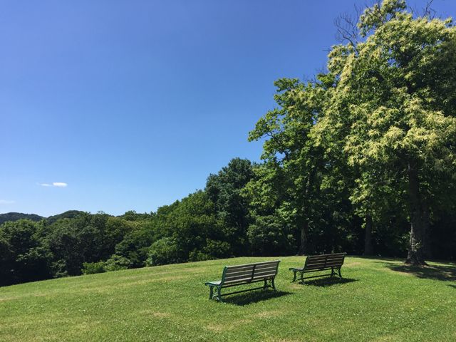 散策コースは芝生と木々・野花のある癒しの空間。