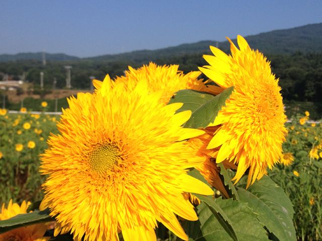 川下りや散策など山遊びが楽しいエリアです♪