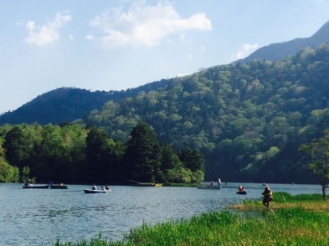 あひるボートや手漕ぎボートなど定番のものや、名所を回る遊覧船など自然や歴史を満喫できます。