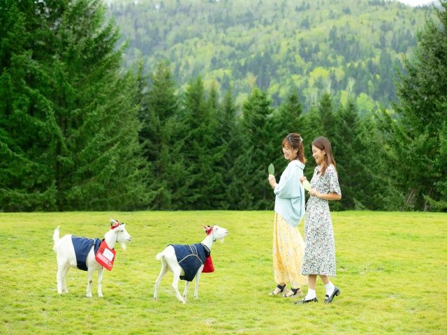 夏の北海道は1年の中でも気持ちの良い気候ですよ！