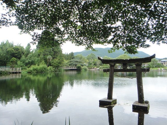 すぐそばに湯布院のメイン通りがあり。コンビニも近い。湯布院の案件で一番立地がいいです。