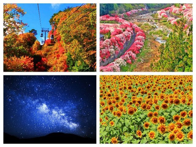 晴れた日の日本一の星空は必見！四季折々、自然の色んな姿を体感出来る温泉地です♪