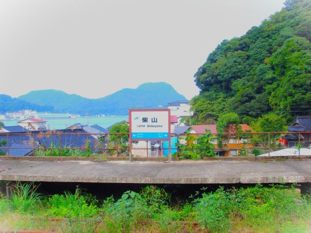 日本海を一望できます☆
海好きな方にはたまらない