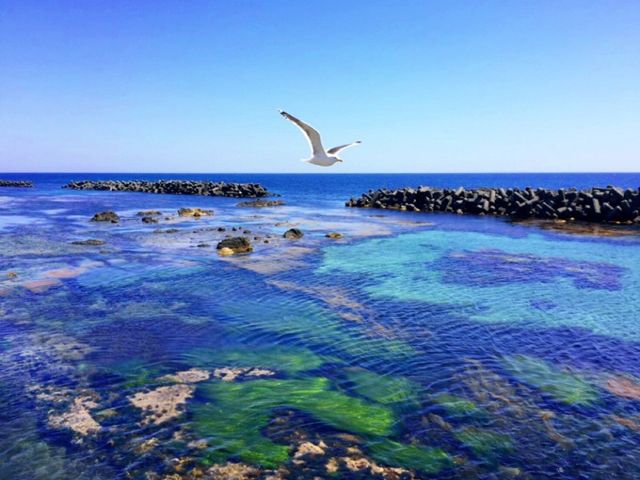 ★周りは大自然がいっぱい★