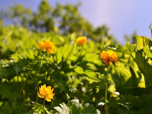 ここでしか見られない景色が、きっとあります。