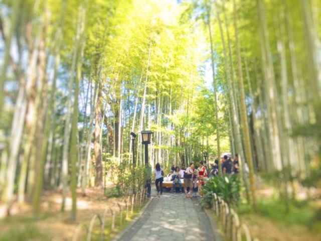 人気の修善寺！