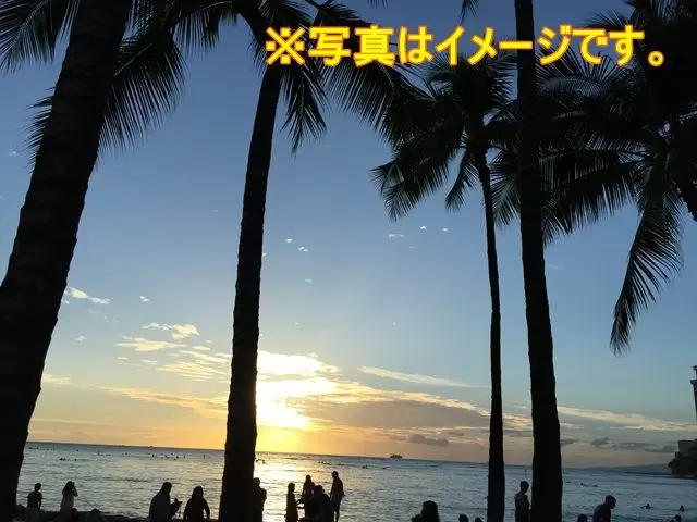7月中旬～8月下旬はサタダーフラ(昼・夜のフラダンスステージ)でハワイ感をたっぷり味わう！