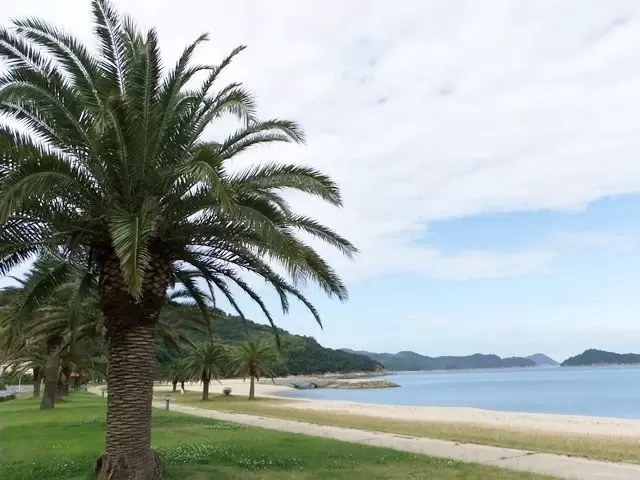 瀬戸内海のハワイ☆毎年6月からはアロハビス始まります！