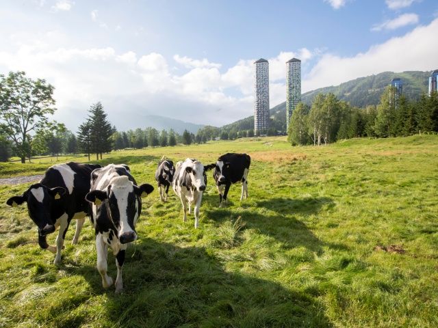 いざっ！トマムへ☆