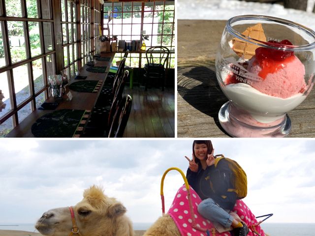 周辺には居心地の良い「お寺カフェ」もあります。