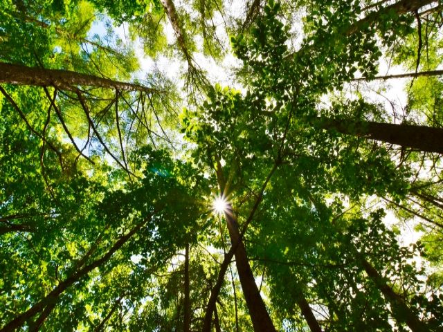 都会の喧騒から離れたい方にオススメ♪