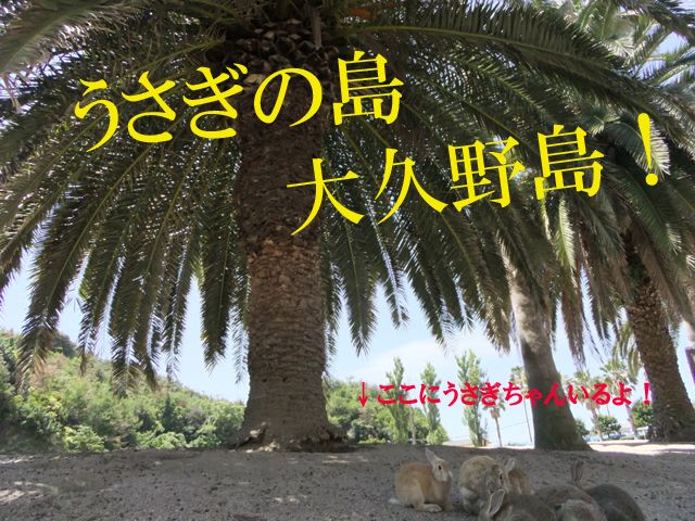 ◆うさぎの楽園