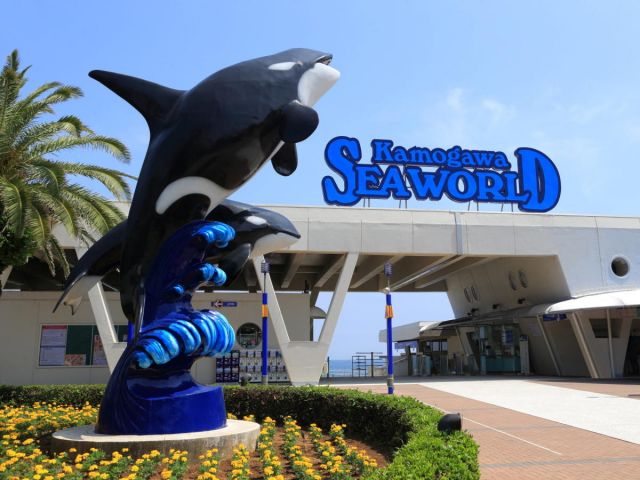 近くには水族館もありますよ！