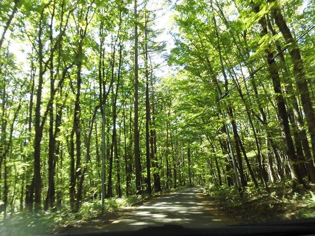 【人気の高原リゾート】で、お仕事をお探しなアナタにぜひオススメ！